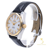 Omega Aqua Terra - 231.23.39.21.55.002 - 39mm Stainless Steel & Yellow Gold