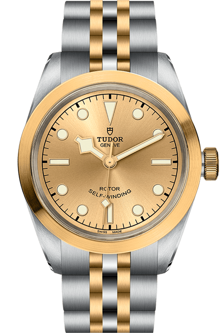 Tudor Black Bay 32 S&G Ref - M79583-0002